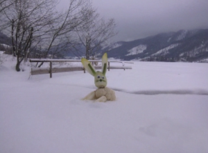 vorschau-gimf-2-schneehase